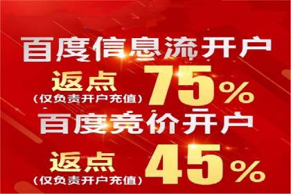 竞价账户优化：成功企业的广告策略揭秘